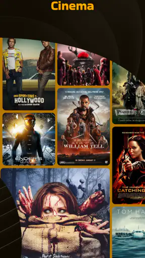 Movie Box LLC