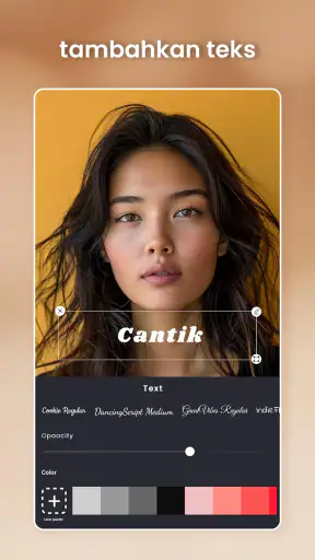 Pembuat Kolase dan editor foto