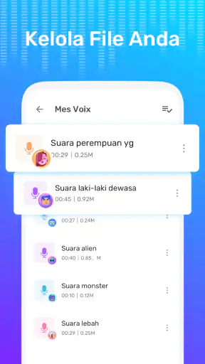 Pengubah Suara dengan Efek