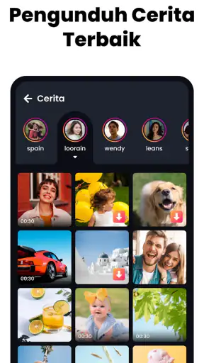 Pengunduh, Pemutar Semua Video