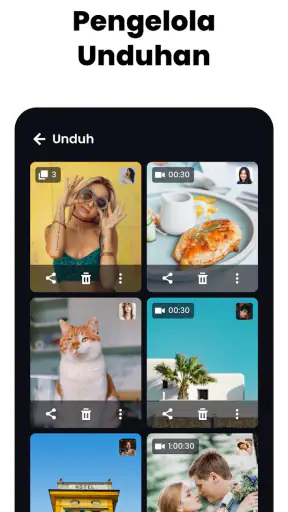 Pengunduh, Pemutar Semua Video
