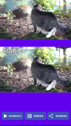 Penstabil Video