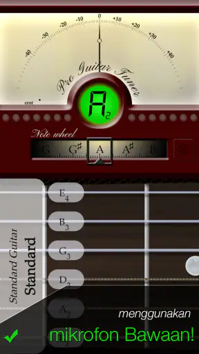 Penyetem Gitar - Pro Guitar