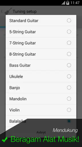 Penyetem Gitar - Pro Guitar