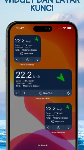 Peta Radar Angin - Anemometer