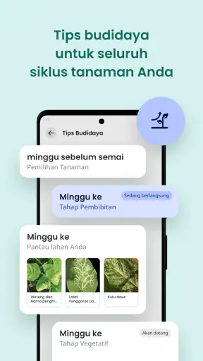 Plantix - Dokter tanaman Anda