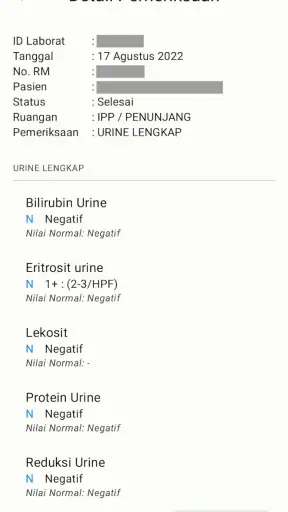 Portal RSM Lamongan