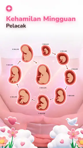 Pregnancy Tracker - Baby Care