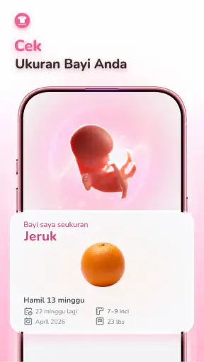 Pregnancy Tracker - Baby Care
