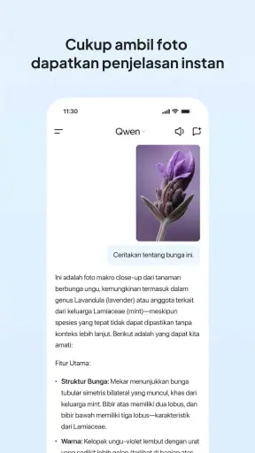 Qwen - Asisten AI Alibaba