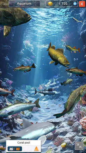 Raja Memancing di Laut