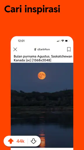 Reddit