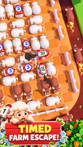 Sheep Dash: Sheep Away
