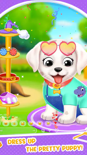 Spa & Salon Anak Anjing
