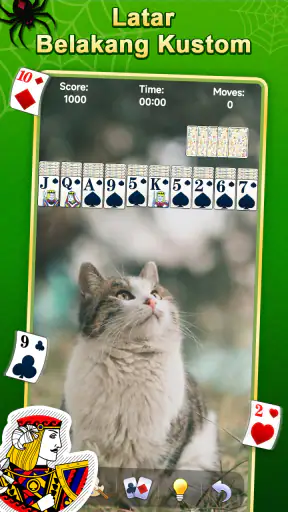 Spider Solitaire