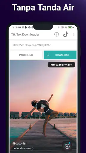 ssstiktok: TT Video Downloader