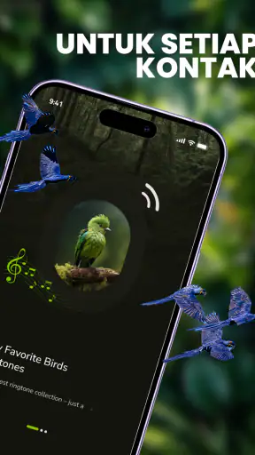 Suara Burung: Nada Dering