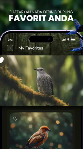 Suara Burung: Nada Dering