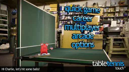 Table Tennis Touch