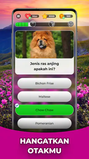 Triviascapes: trivia & Tes IQ