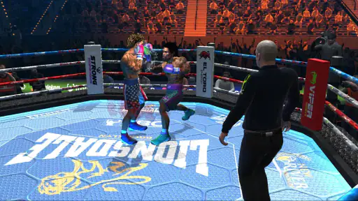 Ultimate Boxing Champion
