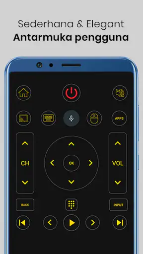 Universal TV Remote Control