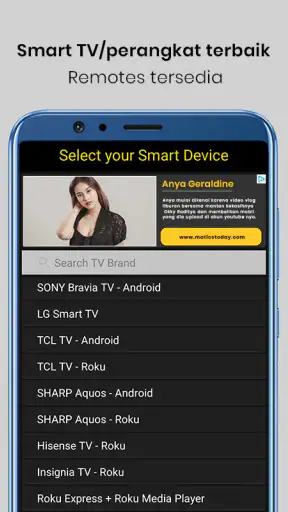 Universal TV Remote Control