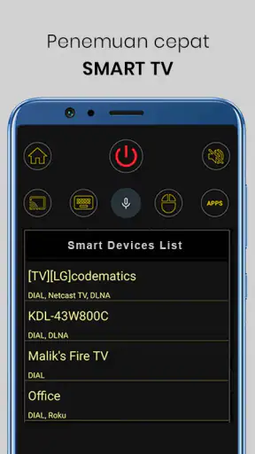 Universal TV Remote Control