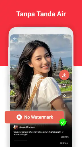 Video Downloader - Story Saver