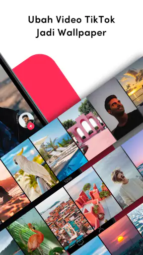 Wallpaper oleh TikTok