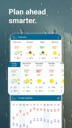 Weather & Radar Forecast