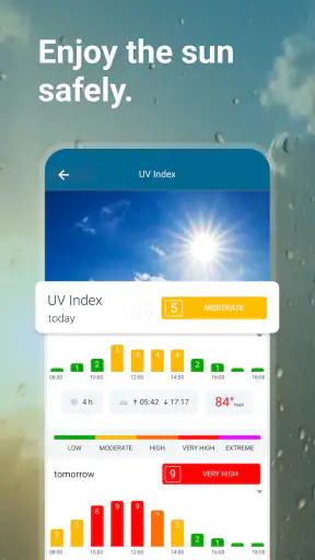 Weather & Radar Forecast