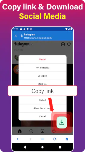 4K Video Downloader