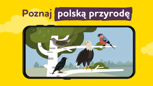 ALPA gry edukacyjne po polsku