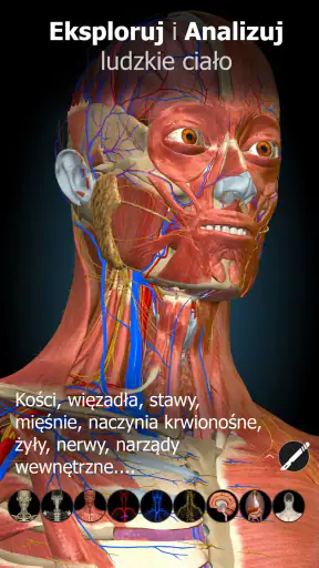 Anatomy Learning - Anatomia 3D