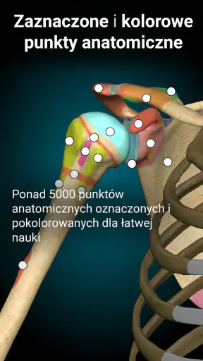 Anatomy Learning - Anatomia 3D
