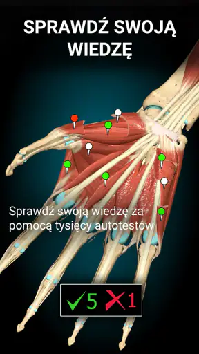 Anatomy Learning - Anatomia 3D