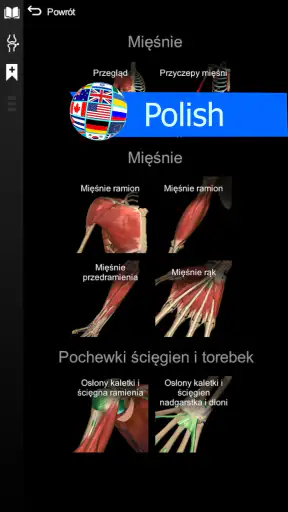 Anatomy Learning - Anatomia 3D