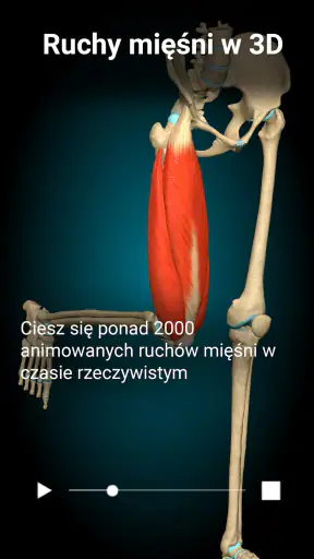 Anatomy Learning - Anatomia 3D