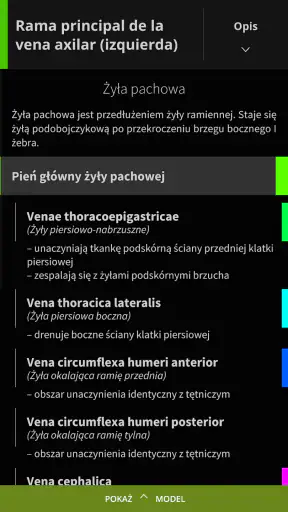 Anatomyka - Anatomia 3D