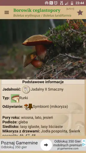 Atlas grzybów