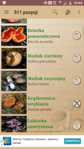 Atlas grzybów