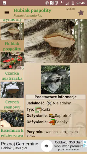 Atlas grzybów