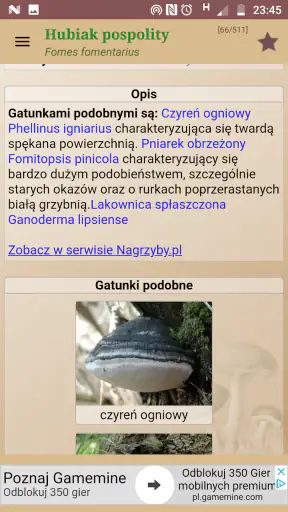 Atlas grzybów