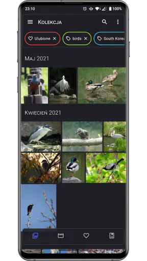 Aves Galeria