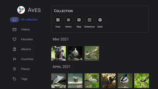 Aves Galeria