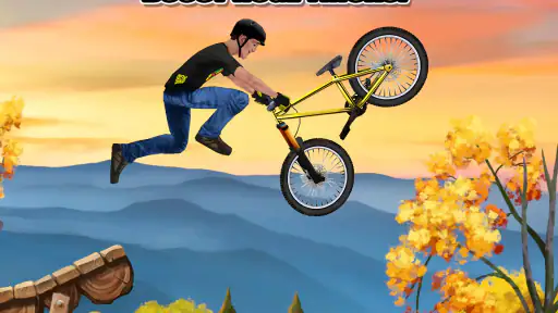 Bike Mayhem