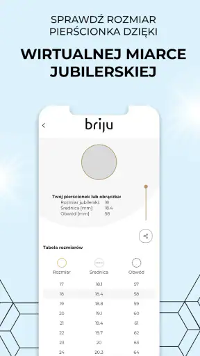 Briju