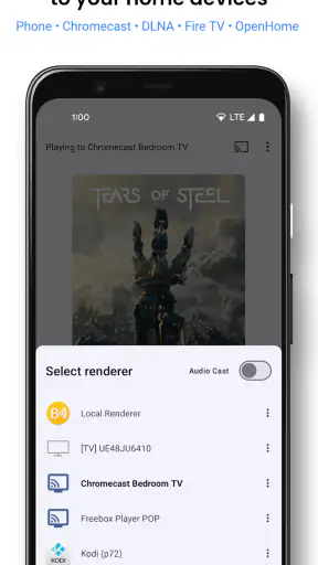 BubbleUPnP for DLNA/Chromecast