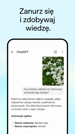 ChatGPT